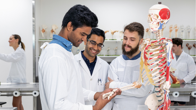 Study MBBS at Rostov State Medical University in Russia