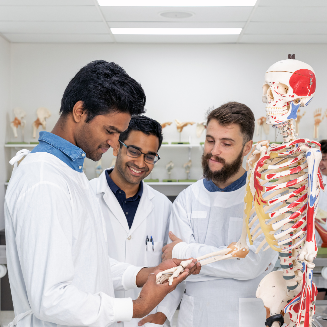 Securing Your Medical Career: Study MBBS at Rostov State Medical University in Russia.